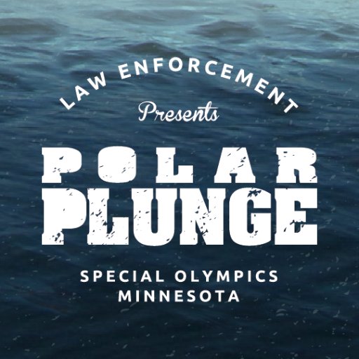 The Polar Plunge pic